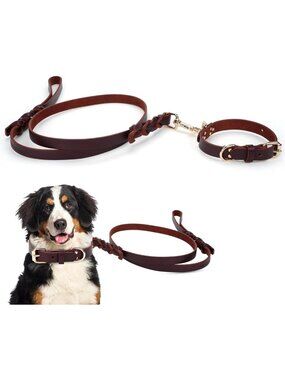 Premium Real Leather Dog Collar & Leash Set, Adjustable Fit, Durable & Stylish